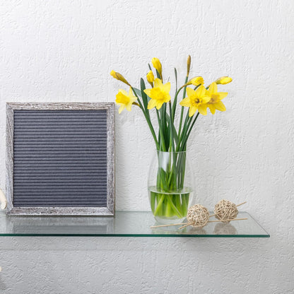 8" 18" 3/8" Dulles Glass x Rectangle Floating Glass Shelf - Shelf Only - Tempered - Thick - Flat Polished Glass