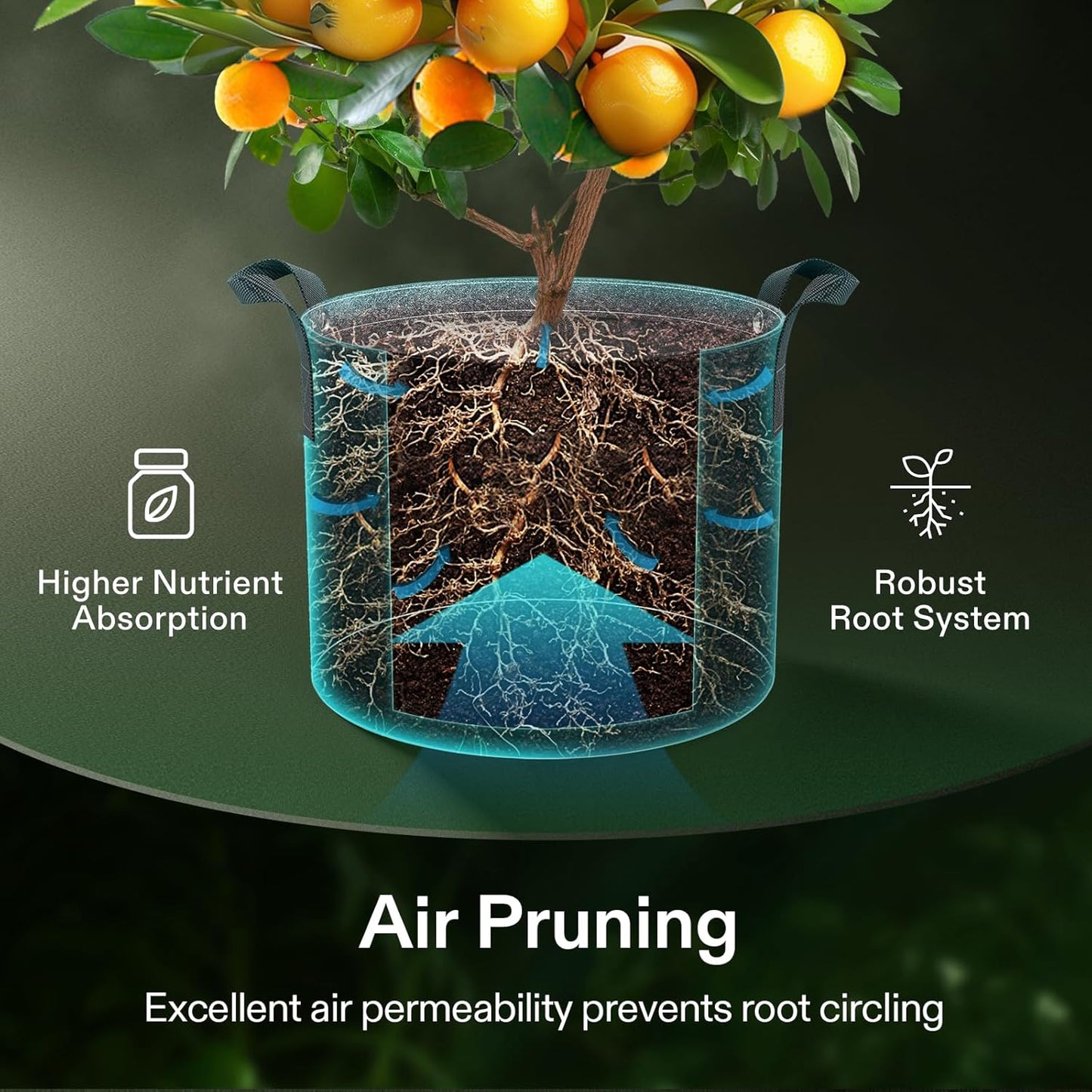 VIVOSUN 3 Gallon Grow Bags - 5-Pack Thick Nonwoven Fabric Pots with Strap Handles for Plant Training