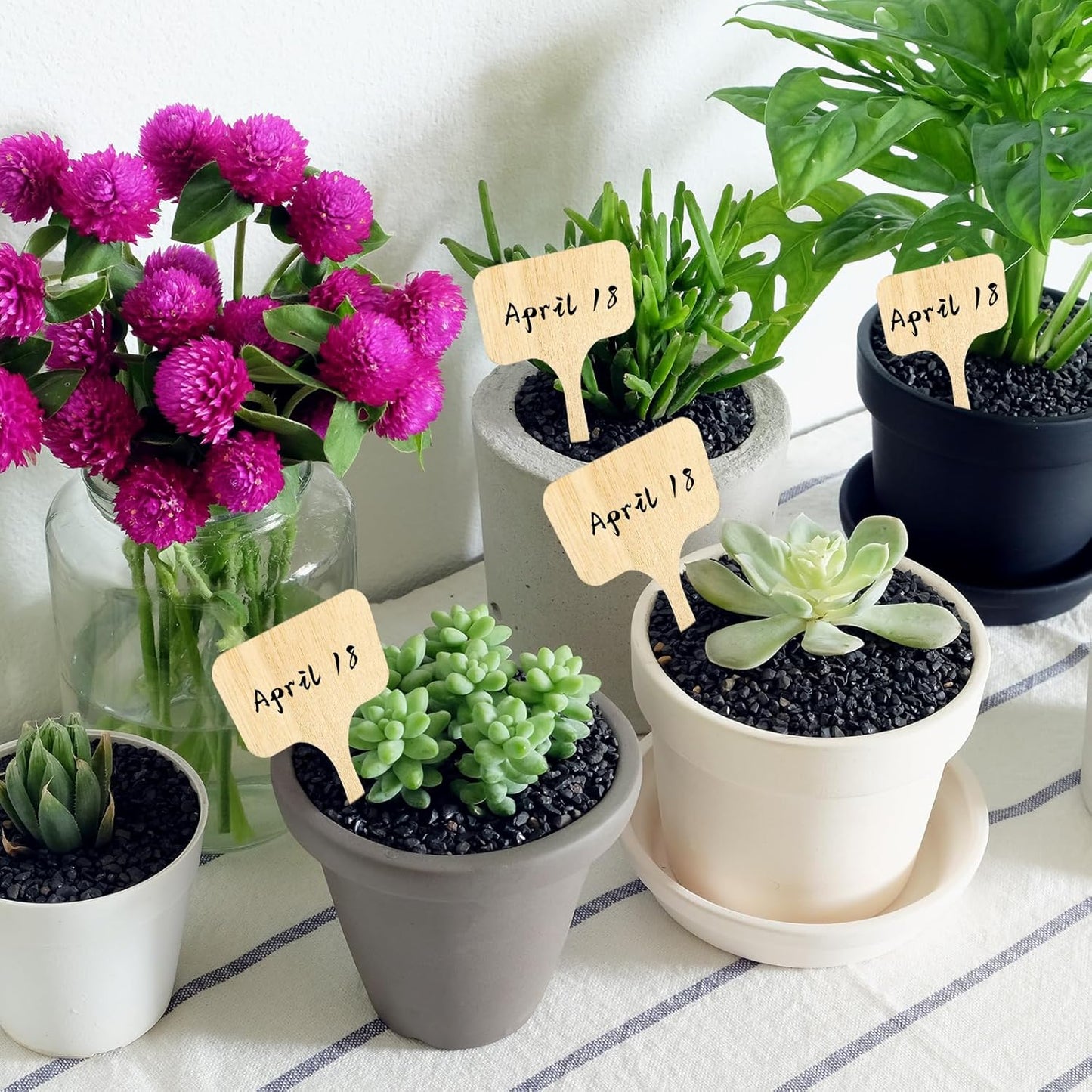 Whaline 60Pcs Wooden Plant Labels with Marker Pen, Decorative Garden Markers for Herbs