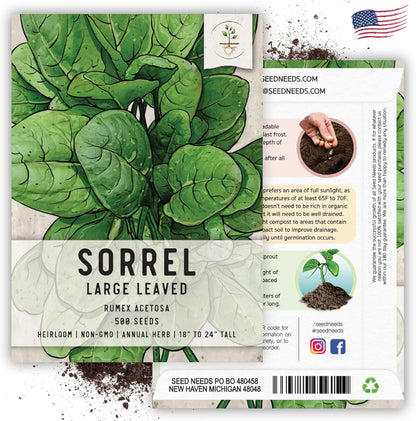 (1 Pack) Seed Needs Large Leaf Sorrel Seeds for Planting - Heirloom Non-GMO & Untreated Medicinal or Culinary Herb