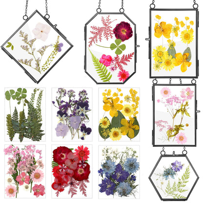 Bucherry 5 Pcs Glass Frame for DIY Pressed Flowers Art Brass Hanging Photo Picture Frame with Chain and 6 Styles Pressed Flowers Collage Glass Craft Frames for Wall Decor Display Gallery (Black)