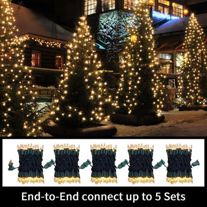 LAMPHOME Clear Warm White Christmas String Lights - 100 Count | 19.6Ft Waterproof Indoor/Outdoor Decor