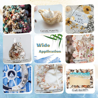 WFPLUS 200+pcs Mixed Sea Shells, Natural Seashells and Starfish for Fish Tank, Home Decorations, DIY Crafts