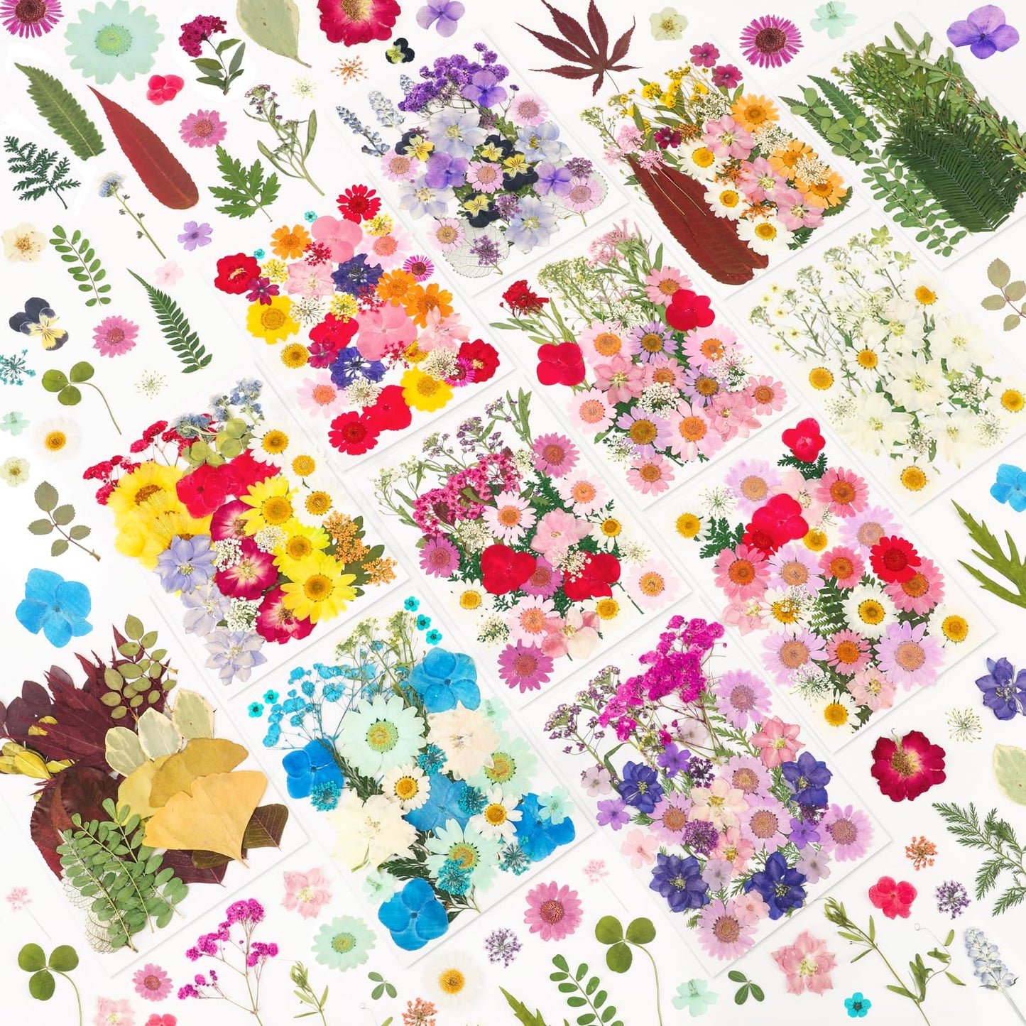 NESCCI 420 Pcs Dried Pressed Flowers for Resin,Real Nature Dried Flowers for Crafts Bulk Dry Flowers Leaves Kit Used for Resin Molds Scrapbooking DIY Art Crafts Candle Soap Making Nails Décor