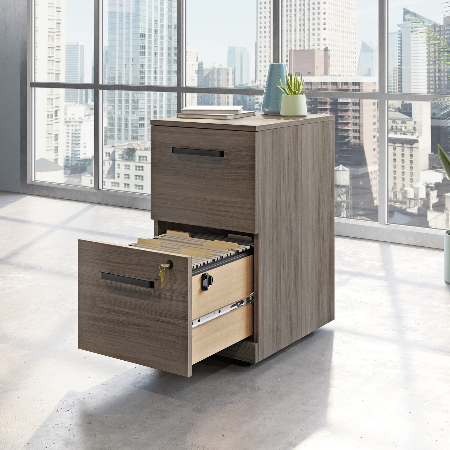Sauder Affirm 2 Drawer Mobile File, Hudson Elm Finish