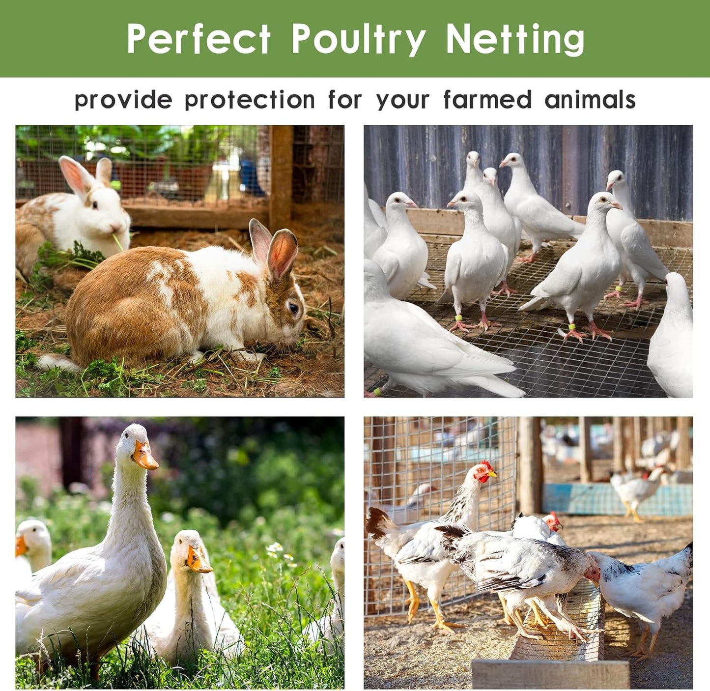 TONGMO 24" 50' 1inch 19 x Hardware Cloth, Mesh Galvanized Chicken Wire Fence, Gauge Welded Wire Roll,Garden Fence