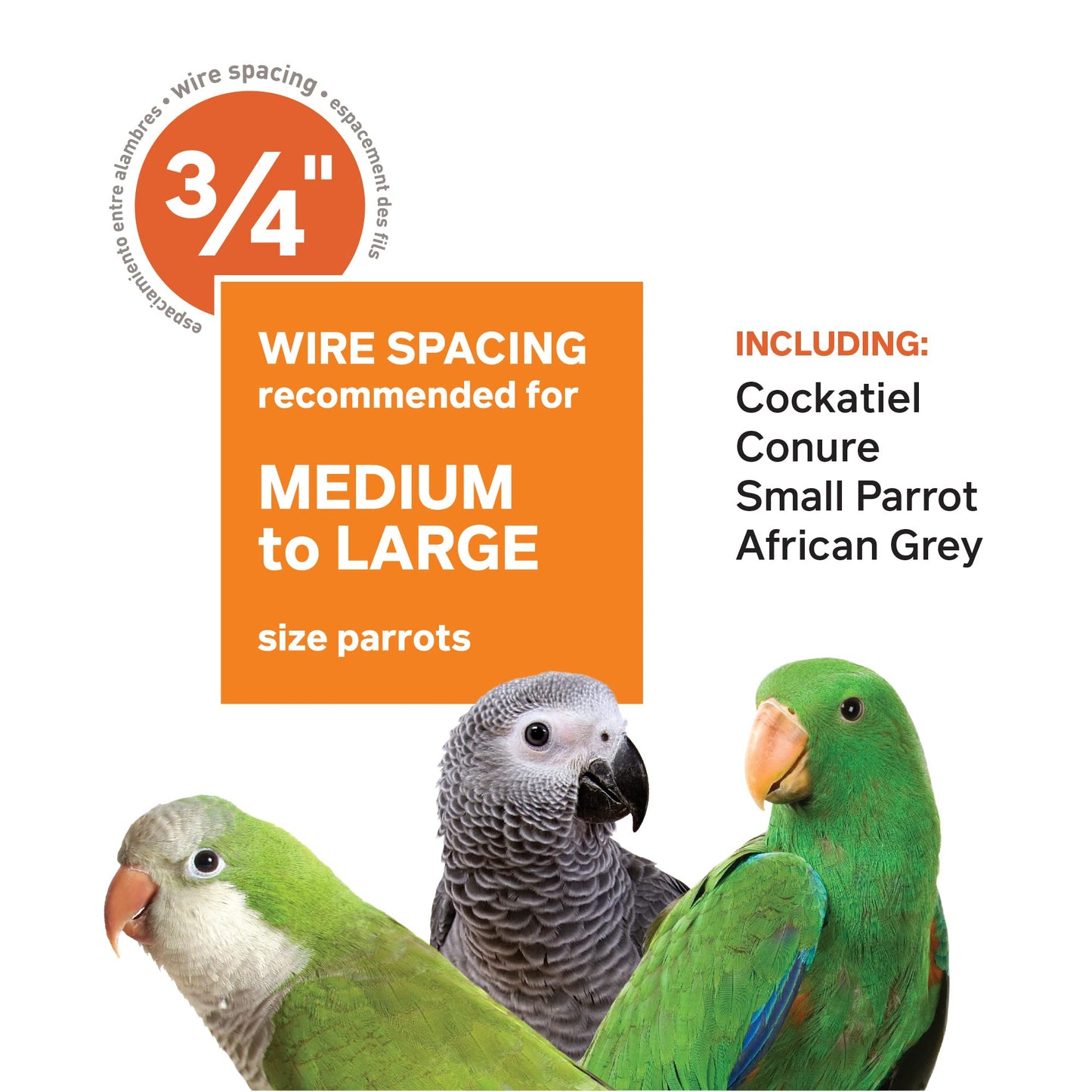 Prevue Pet Products Wrought Iron Select Bird Cage - Large Steel Cage with Rolling Stand, Seed Guards, and Playtop, Durable Design, Ideal for Conures and Medium Birds - Sage Green