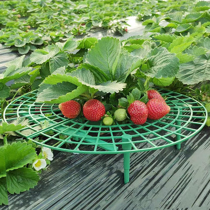 10 4 Pcs Round Strawberry Plant Support, Strawberry Plants Holder with Legs, Strawberry Plant Protector for Garden
