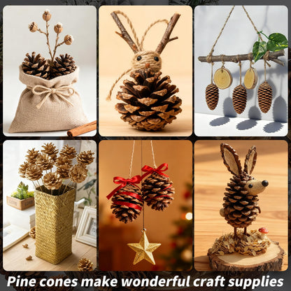 TaoQ C 45 PCS Pine Cones Christmas Pine Cones Natural Large Mini Silver Gold Pinecones for Decorating Christmas Tree Winter Holidays Thanksgiving Table Fall Bowl Fillers Ornaments