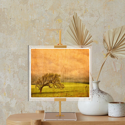 RattanView Adjustable Metal Easel Stand with Acrylic Floating Photo Frame 16.5" Tabletop Metal Standing Easel Display Stand for Display Picture, Frame, Photos, Art, Poster, Signs(Gold,Acrylic Base)