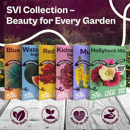 50 Packets, SVI Henderson Lima Bean Seeds (Phaseolus lunatus) Bush Baby Lima Beans Seed Green Beans Heirloom Vegetable