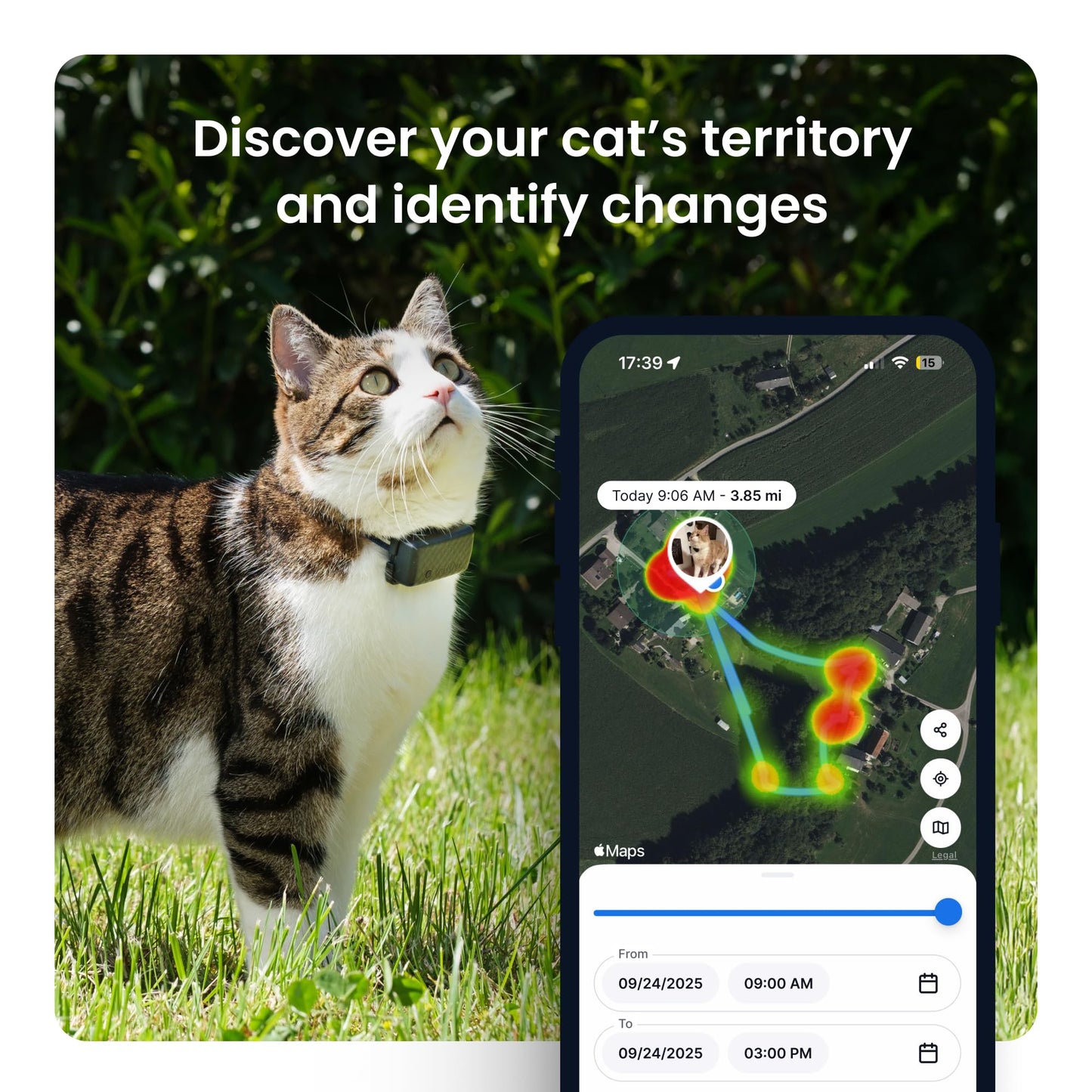 Tractive Smart Cat GPS Tracker | Real-Time Location & Wellness Monitoring for Cats 6.5 lbs+ | Territory & Location History | Up to 5-Day Battery | Breakaway Collar Included (Mint)