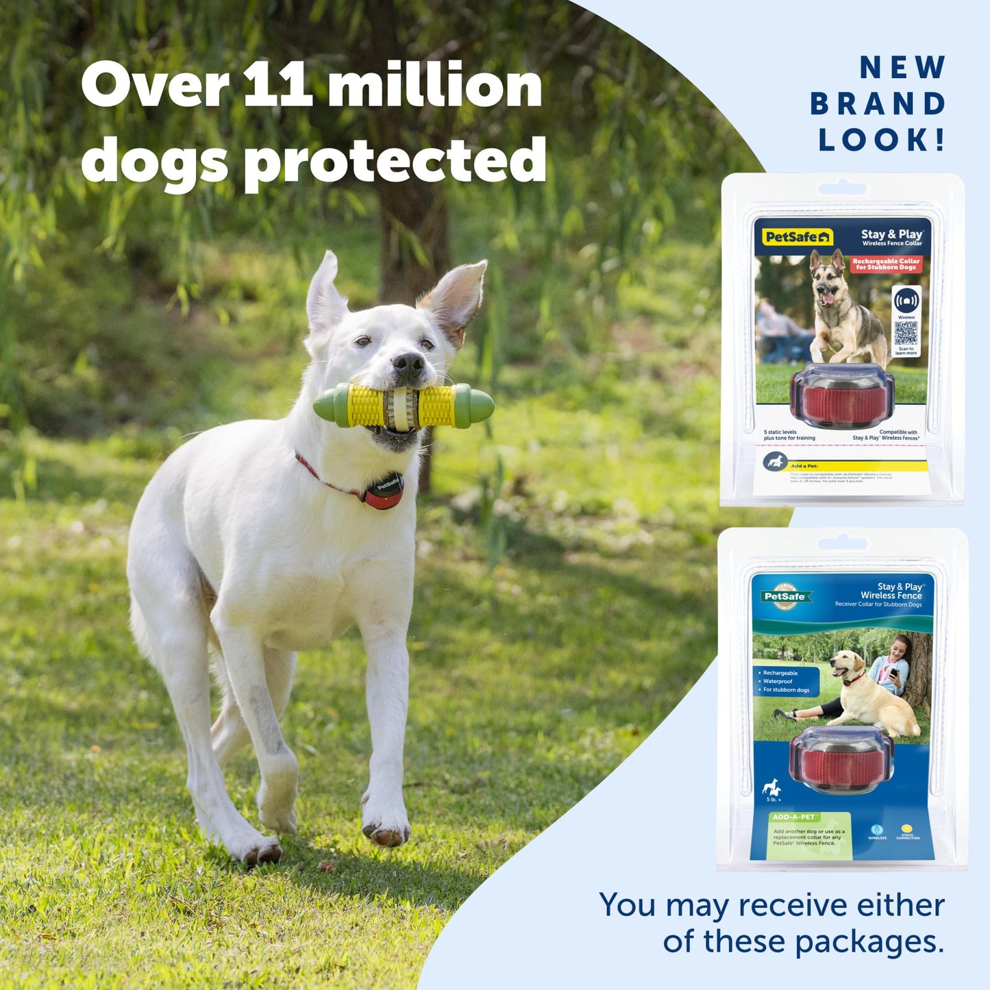 PetSafe Stay & Play Wireless Fence Receive Collar for Stubborn Dogs - Rechargeable & Waterproof Receiver Collar with Quick Charge in 2-3 Hours - for Dogs 5lb+