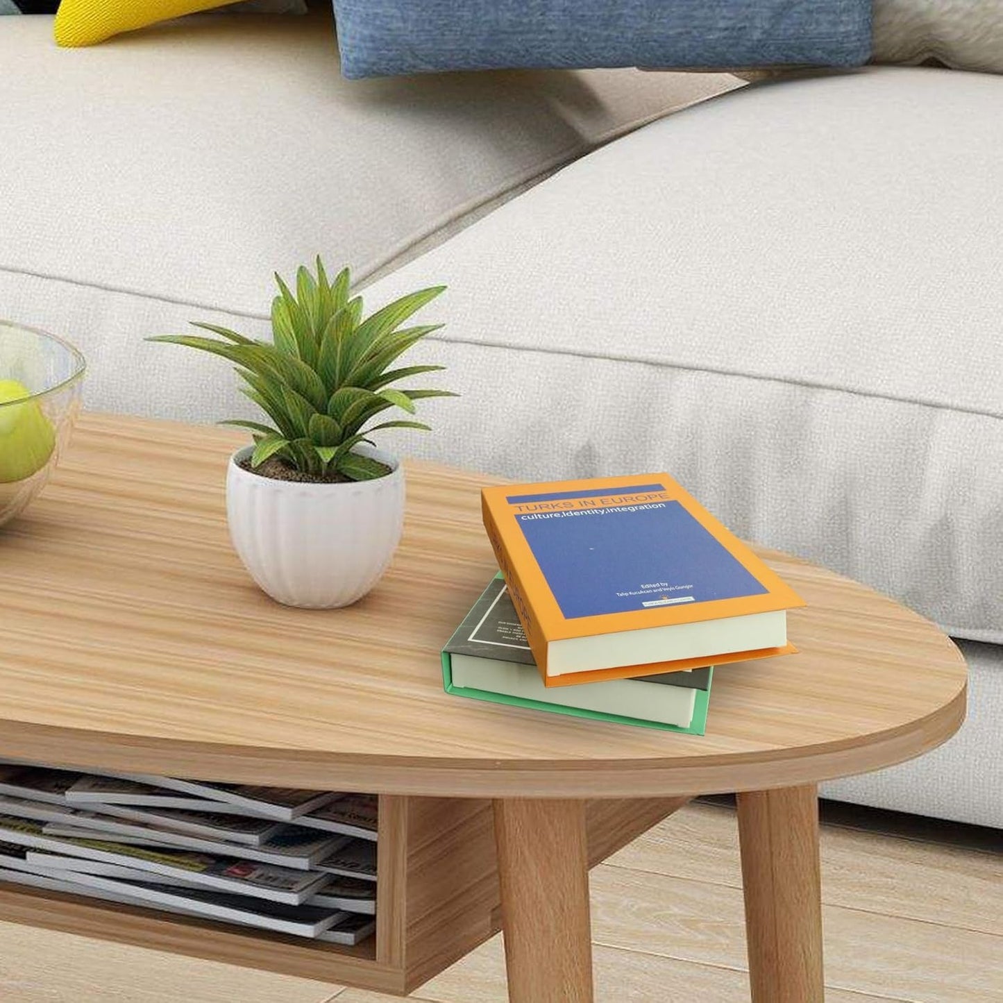 EFH 6 (Set 1) Pcs Faux Books for Modern Decoration - Fashionable Fake Books for Home Decor - Aesthetic Entryway, Coffee