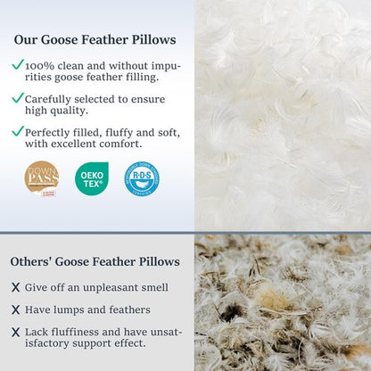 COZSINOOR Goose Feather Pillows Queen Size Set of 2 - Hotel Down Bed Pillow for Sleeping, Soft 600 TC Cotton Cover, Fluffy Support Surround Fill Down Alternative for Back, Stomach, Side Sleepers