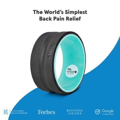 Chirp Wheel Foam Roller - Targeted Back & Neck Pain Relief, Muscle Massage, Trigger Point Therapy, High-Density Foam Tool for Physical Therapy, Stretching & Exercise, 500lbs Capacity, 10-Inch Mint