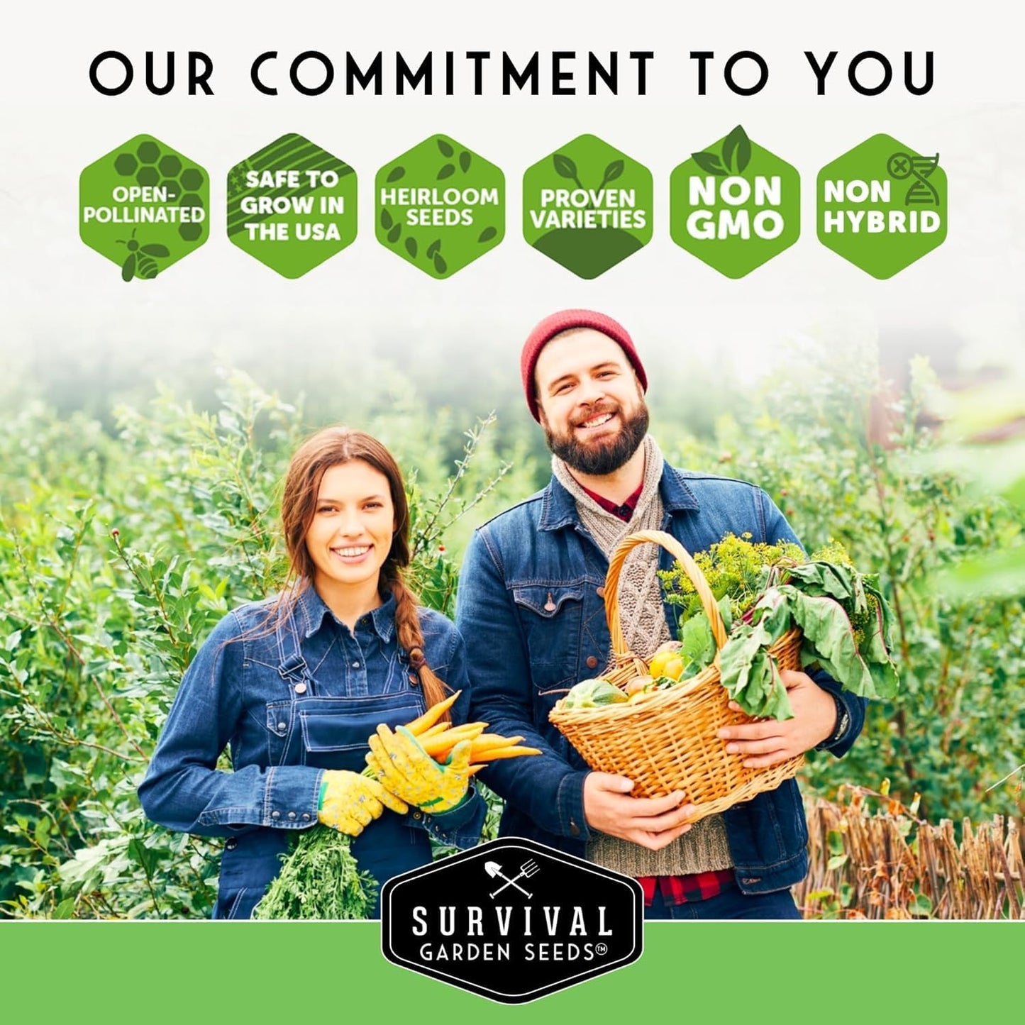 Three Sisters Collection Seed Vault - Non-GMO Heirloom Seeds for Planting Vegetables - Sweetcorn, Butternut Winter