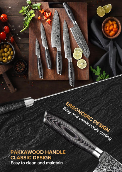 XINZUO 5-Piece Kitchen Knife,Super Sharp Damascus Steel Professional Chef Knife Set with Pakkawood Handle, Gift Box