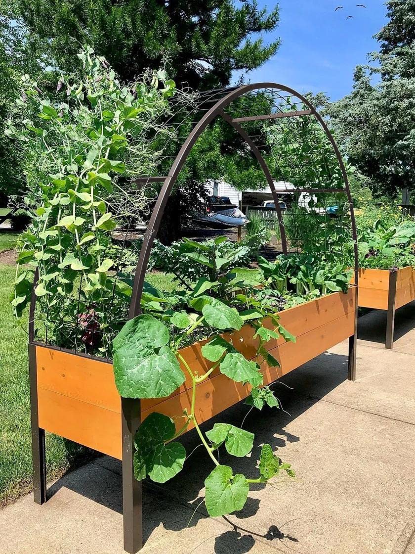 Gardener’s Supply Company Arch Trellis | Garden Arbor fits 2' x 8' Elevated Planter Boxes for Climbing Plants, Vegetables and Flowers | Decorative Outdoor Gardening Landscape