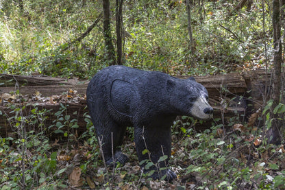 Rinehart Signature Black Bear 3D Archery Target | Realistic Black Bear with Replaceable Vital Insert | Broadhead & Field Point Compatible | Self-Healing Foam | Made in USA