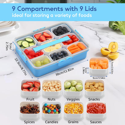 Snackle Box Container for Adults with 9 Compartment, Divided Serving Tray Snack Box Containers with Lid and Handle, Charcuterie Boxes Portable Snack Platter for Fruit Veggie Party Travel, Blue