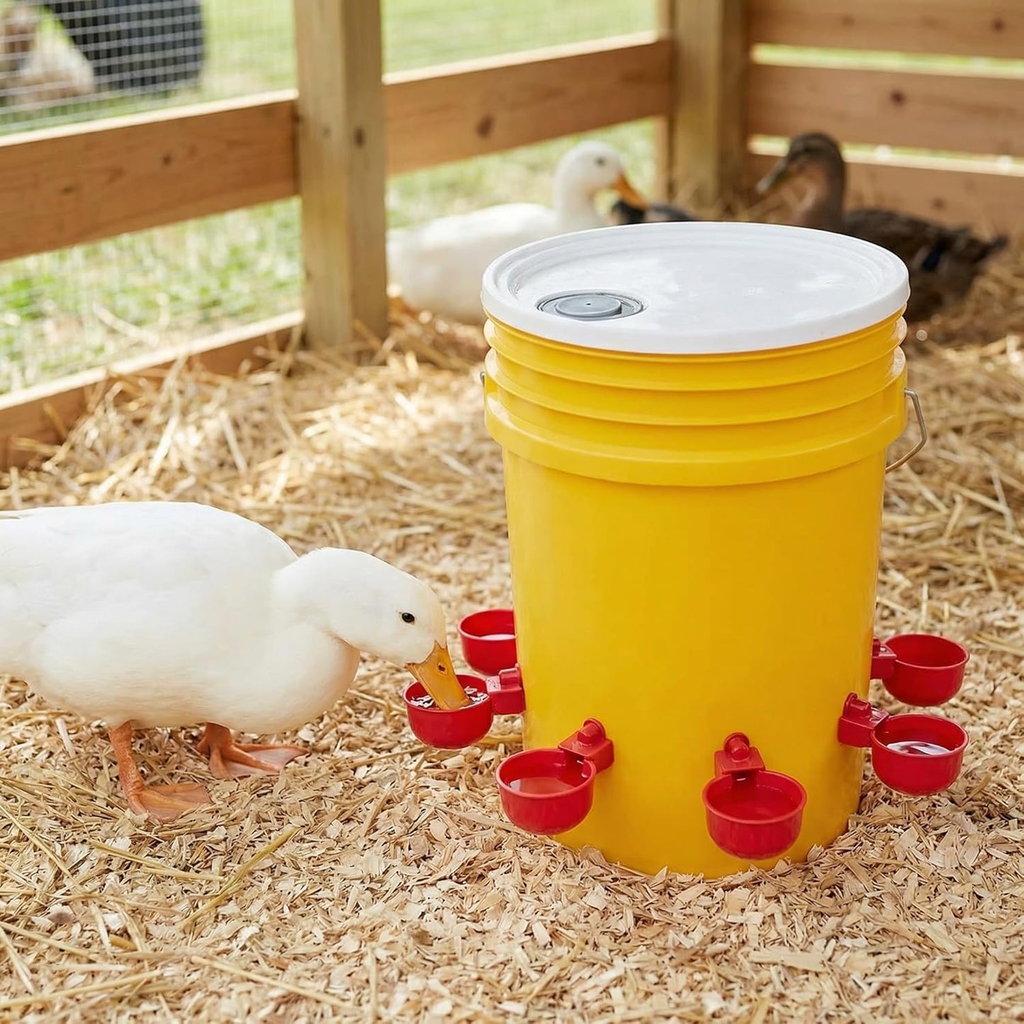 30 Pack 3/8 Inch Cedilis Chicken Water Cup, Automatic Drinking Cups for Chickens, Thread Poultry Water Cups, Chicken