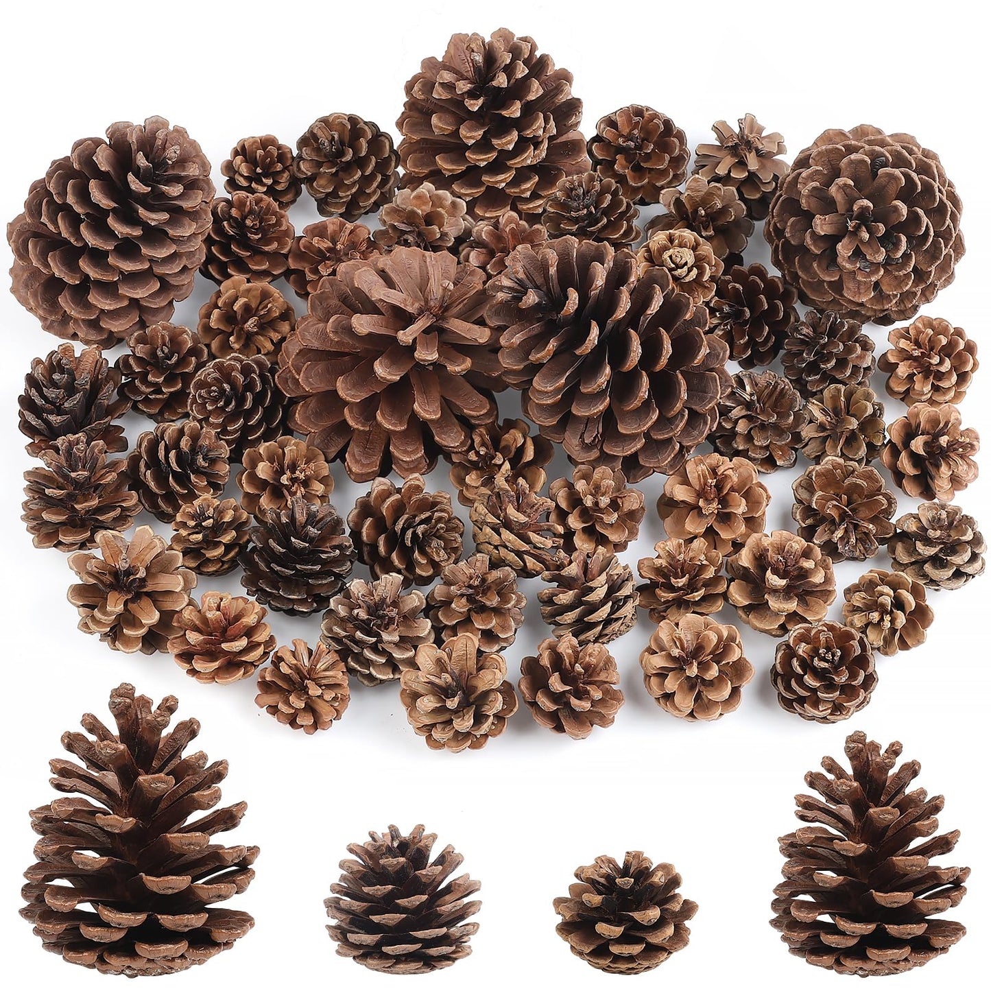 Wlicon 55 PCS Pine Cones Decorations Natural Pinecones, Large Medium & Mini Sizes Pinecones for Table Christmas Tree Crafts Gifts Thanksgiving Fall and Xmas Home Decor DIY Ornaments