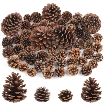 Wlicon 55 PCS Pine Cones Decorations Natural Pinecones, Large Medium & Mini Sizes Pinecones for Table Christmas Tree Crafts Gifts Thanksgiving Fall and Xmas Home Decor DIY Ornaments