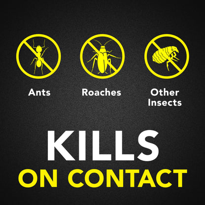 Raid Ant & Roach Killer 26, Fragrance Free Bug Killer for Home Use, Kills Bugs on Contact, 17.5 Oz, 2 Count