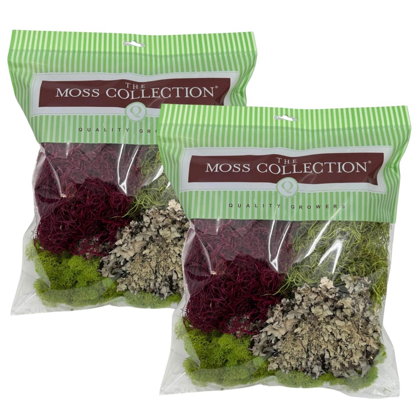 Quality Growers - The Moss Collection Variety Pack - Natural Decorative Moss - Crafts, Home Decor, Art, Design & DIY Projects - Non-Toxic - Made in USA - Red Mix, Medium, 2-Pack