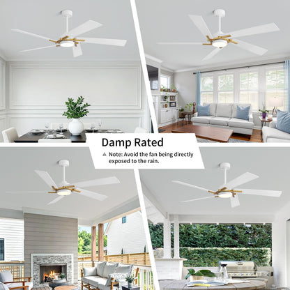 WINGBO 64 Inch Ceiling Fan with Light and Remote, 5 Plywood Blades, 6-Speed Reversible DC Motor, Dimmable, 3CCT, Modern Ceiling Fan for Bedroom Living Room Kitchen, Gold and White