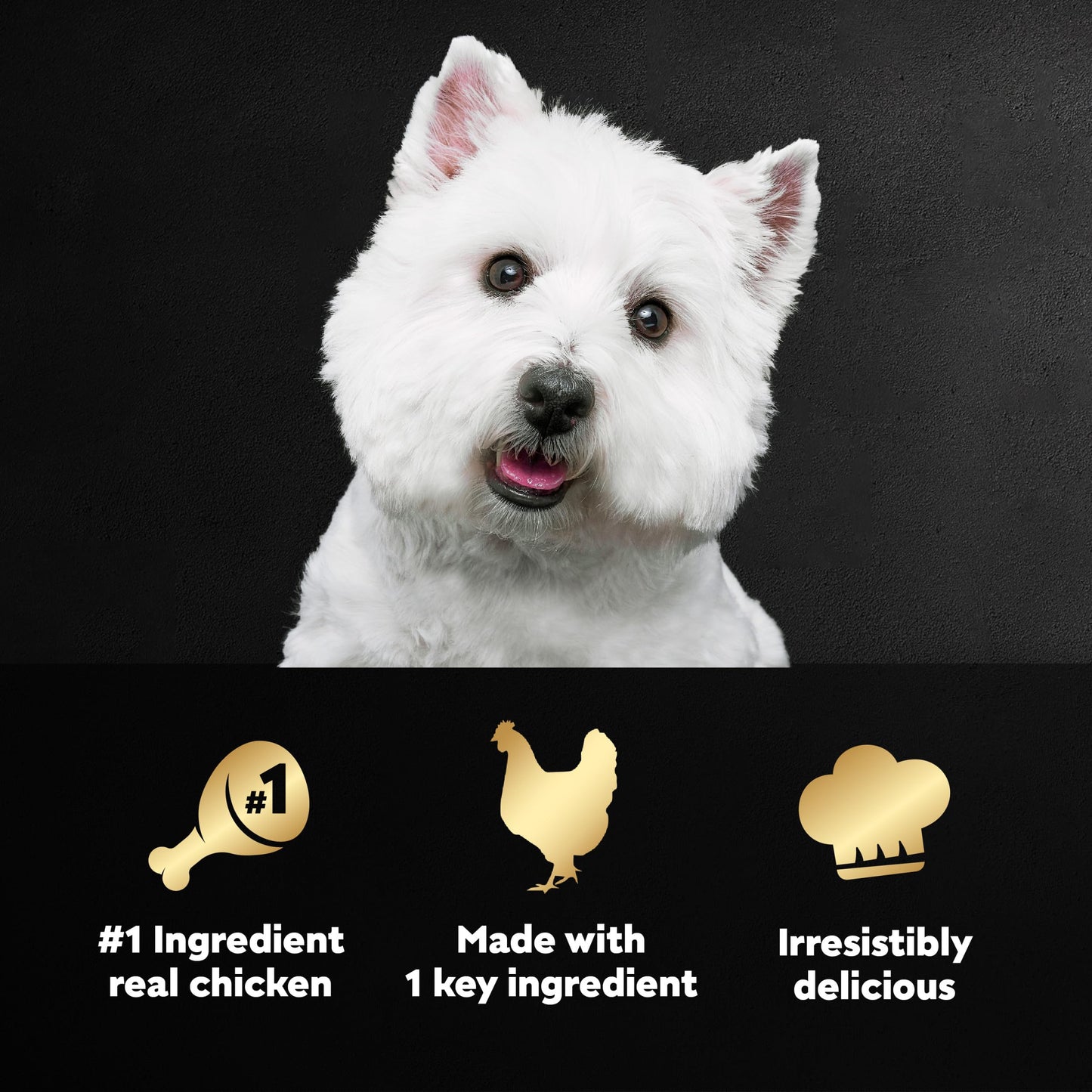 Cesar Simply Crafted Adult Wet Dog Food Meal Topper, Chicken, 1.3 oz. (10 Count, Pack of 1)