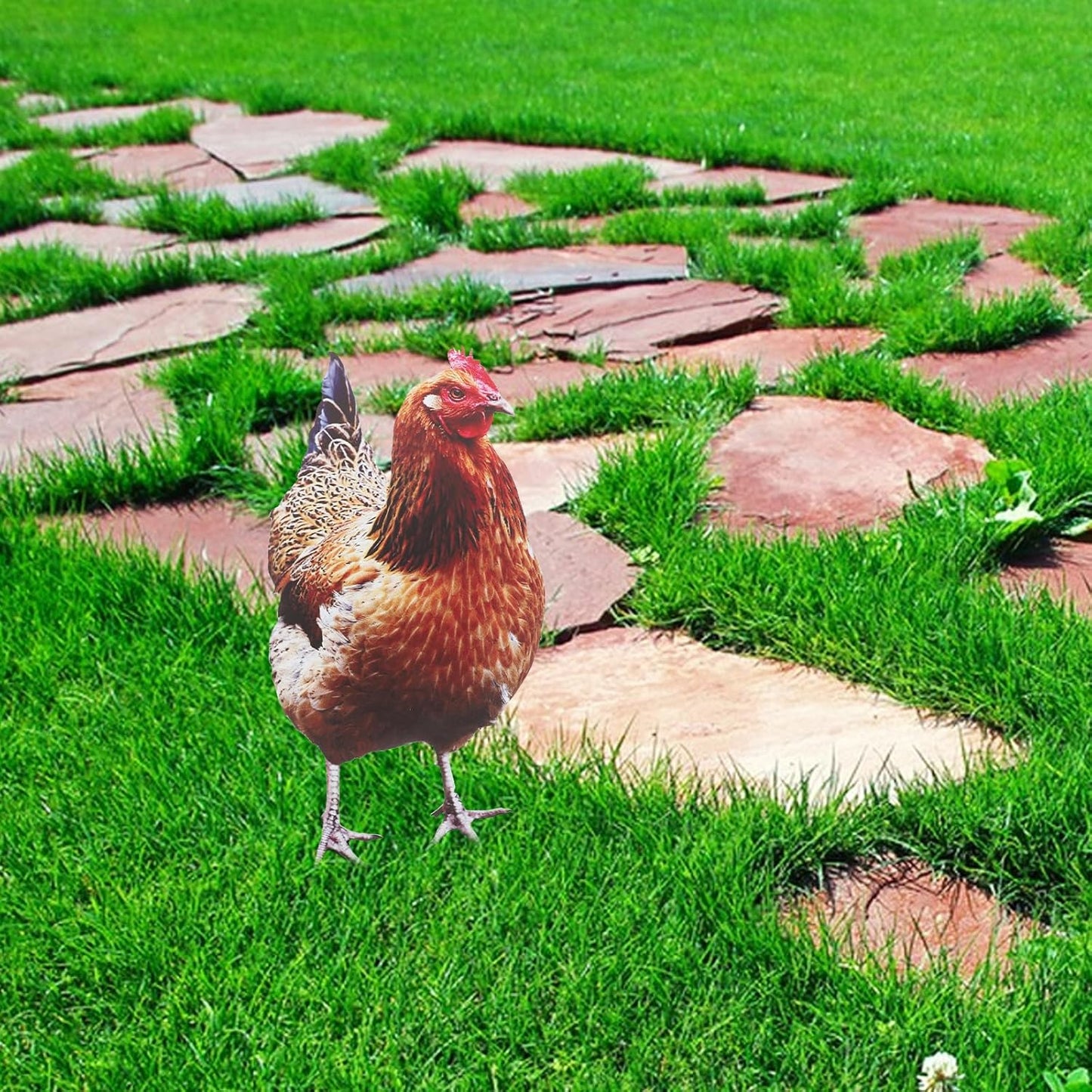 2Pcs Happyyami Acrylic Chicken Yard Art - Decorative Hen Lawn Stakes for Garden Decoration, Outdoor Decor for Patio