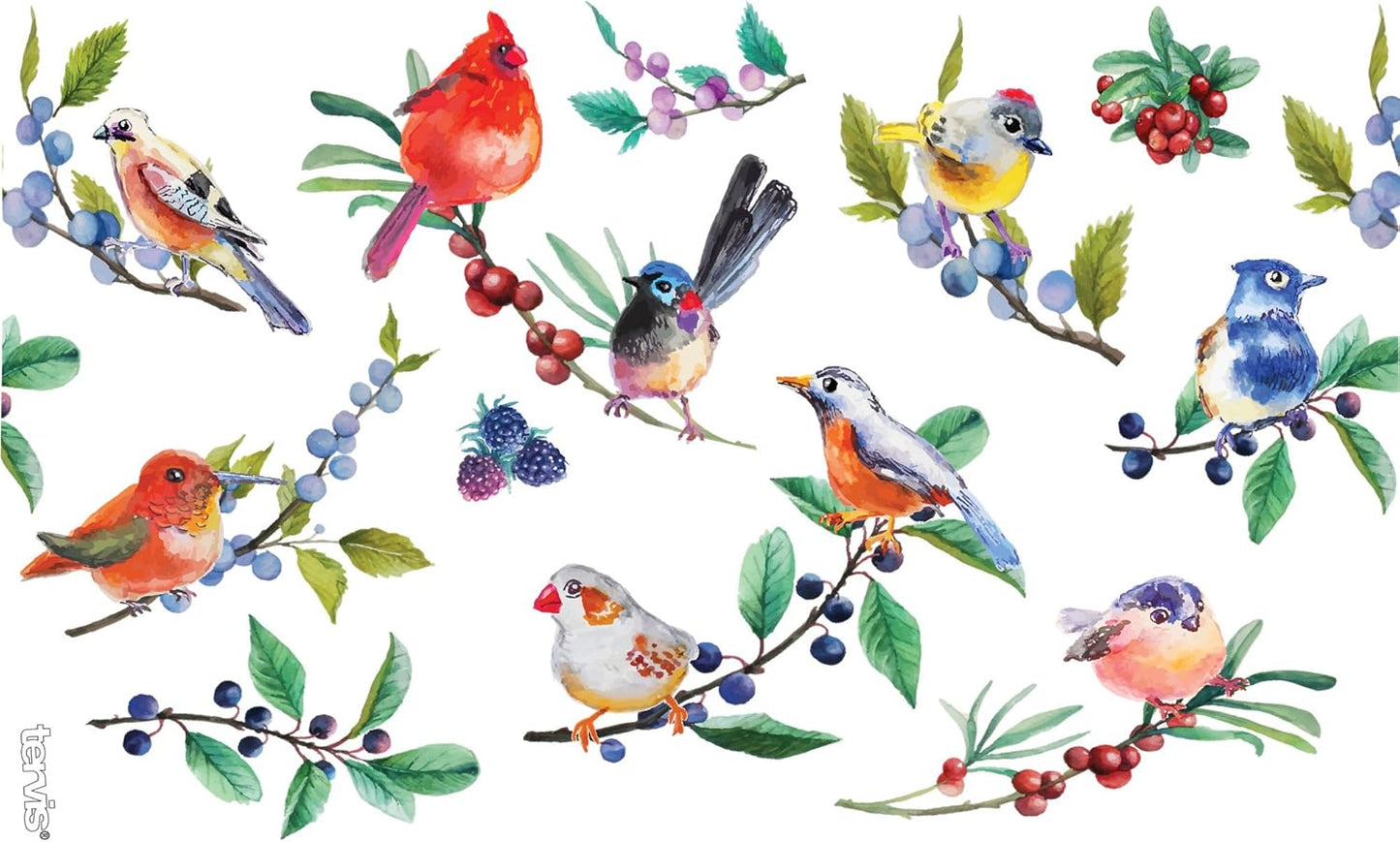 Tervis Watercolor Songbirds Double Walled Insulated Tumbler Cup - Made in USA, Keeps Drinks Cold & Hot, 16oz, Clear