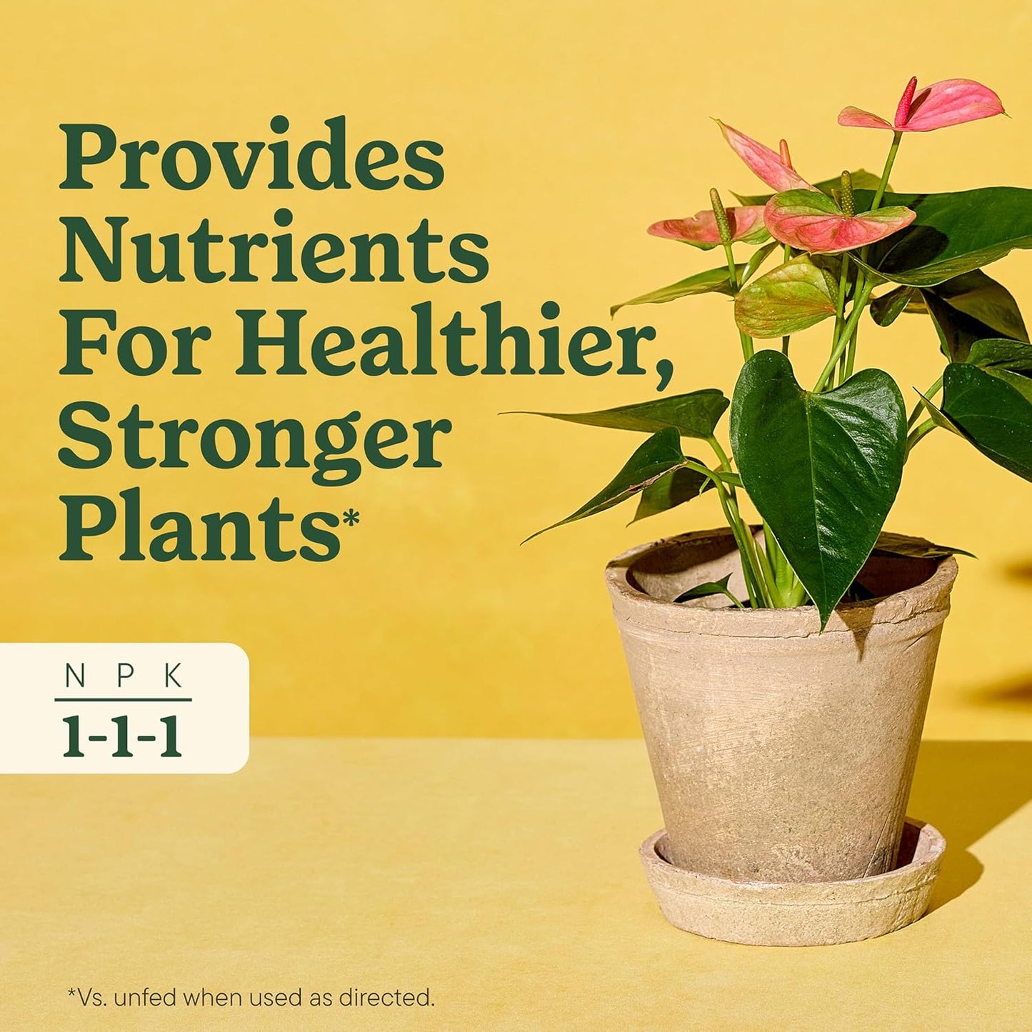 Miracle-Gro Indoor Plant Food - Liquid Nutrient Solution for Houseplants & Vegetables | 8 fl. oz. (2-Pack)