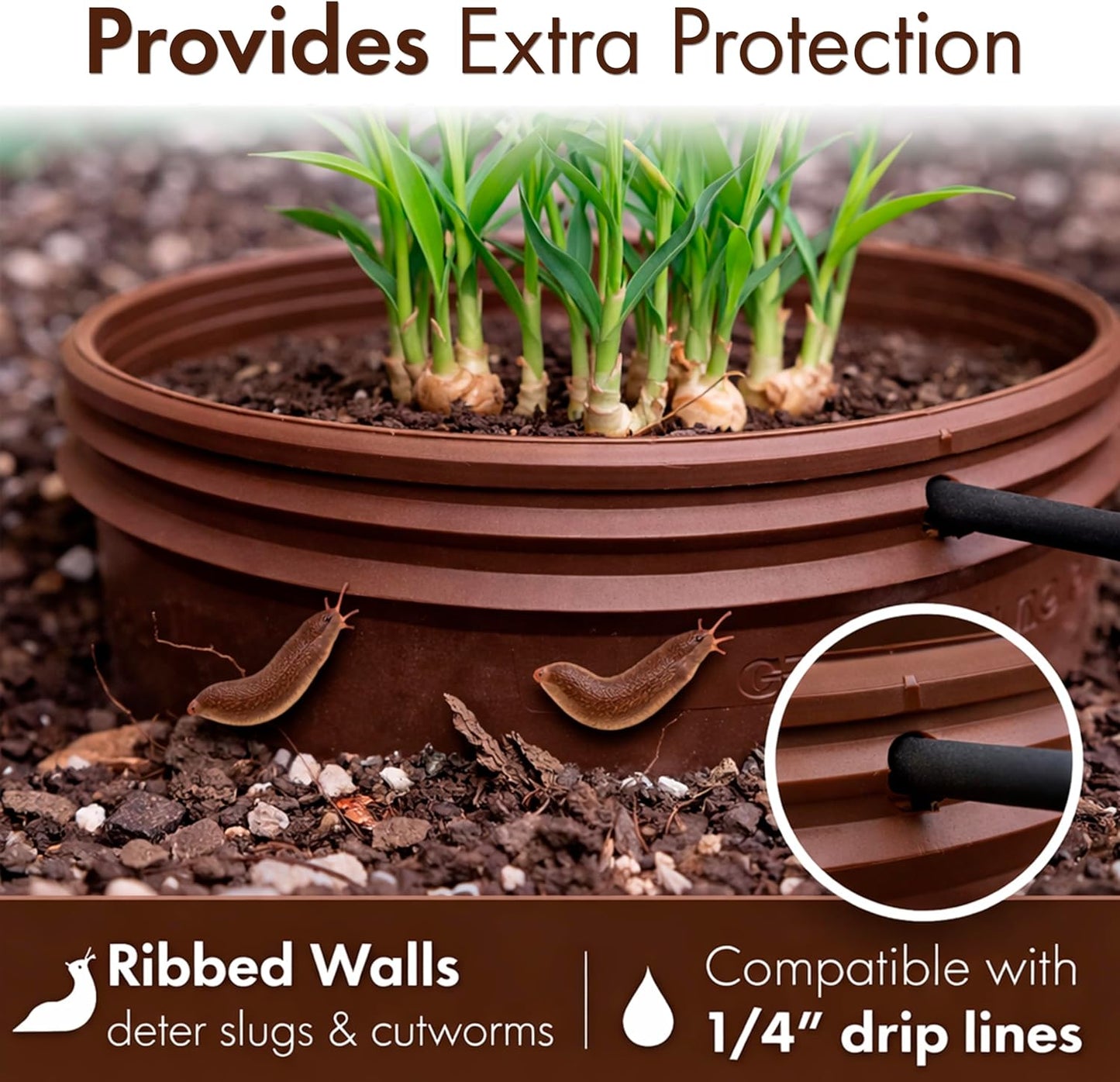 7 inch 12 Pack Solid Planting Grow Rings | Earth Brown | One-Piece Design for Deep Root Watering Veggies, Herbs