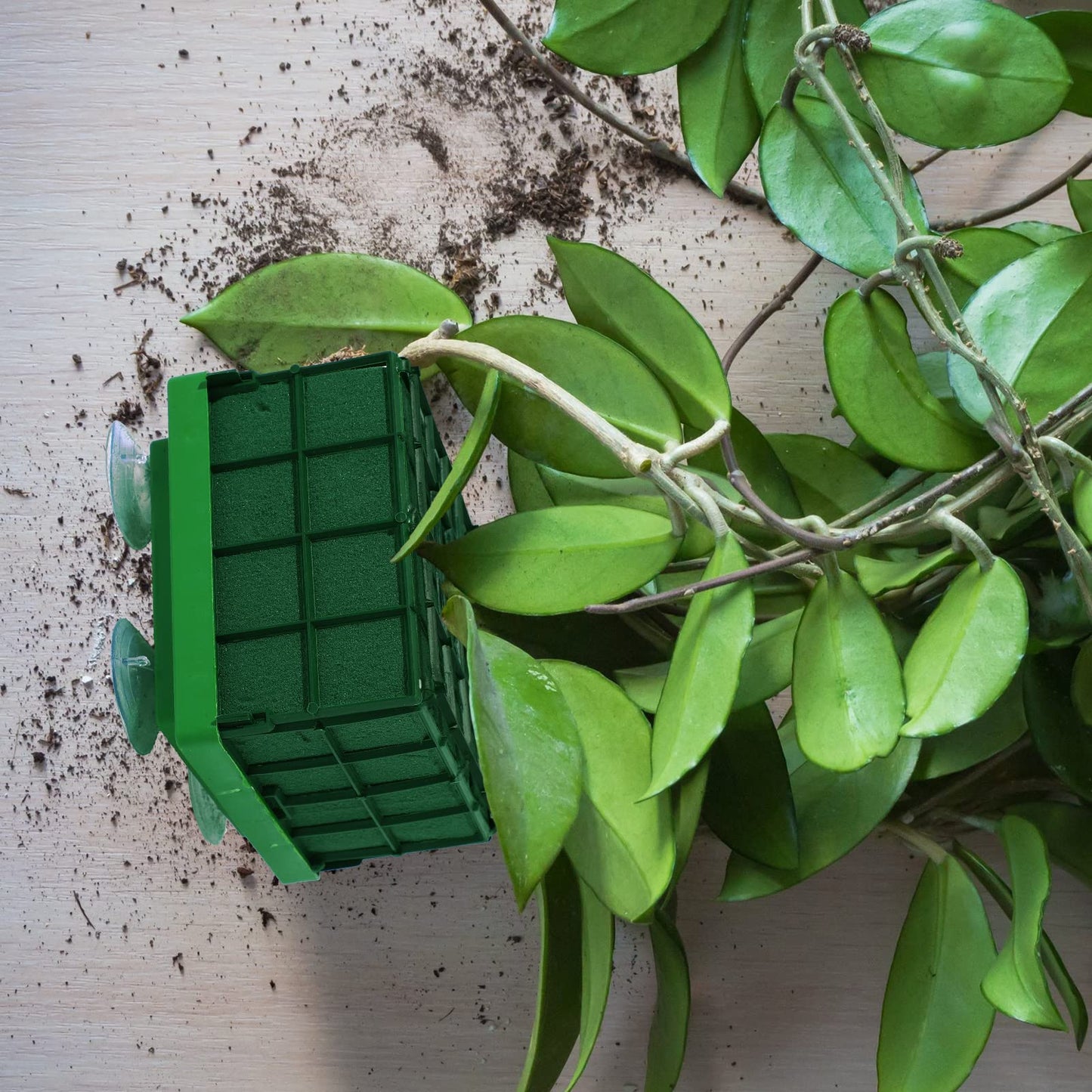 Boao 2 Pieces Floral Foam Cage Rectangle Flower Cage Holders with Floral Foam Flower Arrangement Supplies for Fresh Flowers Wedding Decorations 4.3 x 4.3 x 3.5 Inch