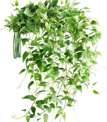 FiveSeasonStuff 28ft 10-Vine Set, Elegant Artificial Silk Clematis Leaves, Versatile Decor for Any Occasion