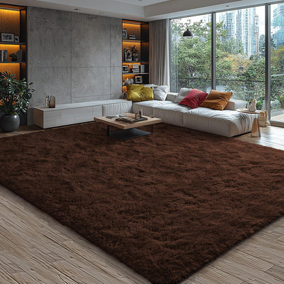 5x7 EVOIONOS Washable Large Area Rug for Living Room, Fluffy Shag Rug for Bedroom, Ultra Soft Plush Non Slip Carpet