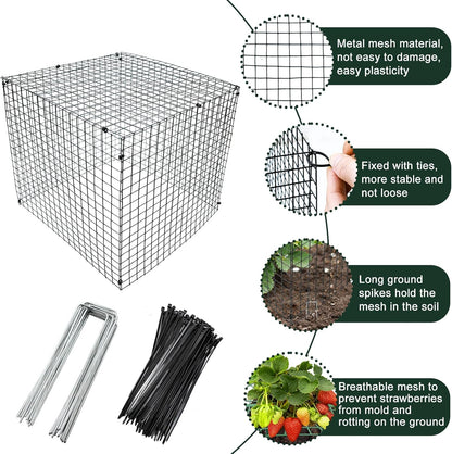 4 Sets 12x12Inch Upgraded Strawberry Supports with Wire Plant Protectors from Animal Sturdy Metal Wire Plant Cages Mesh