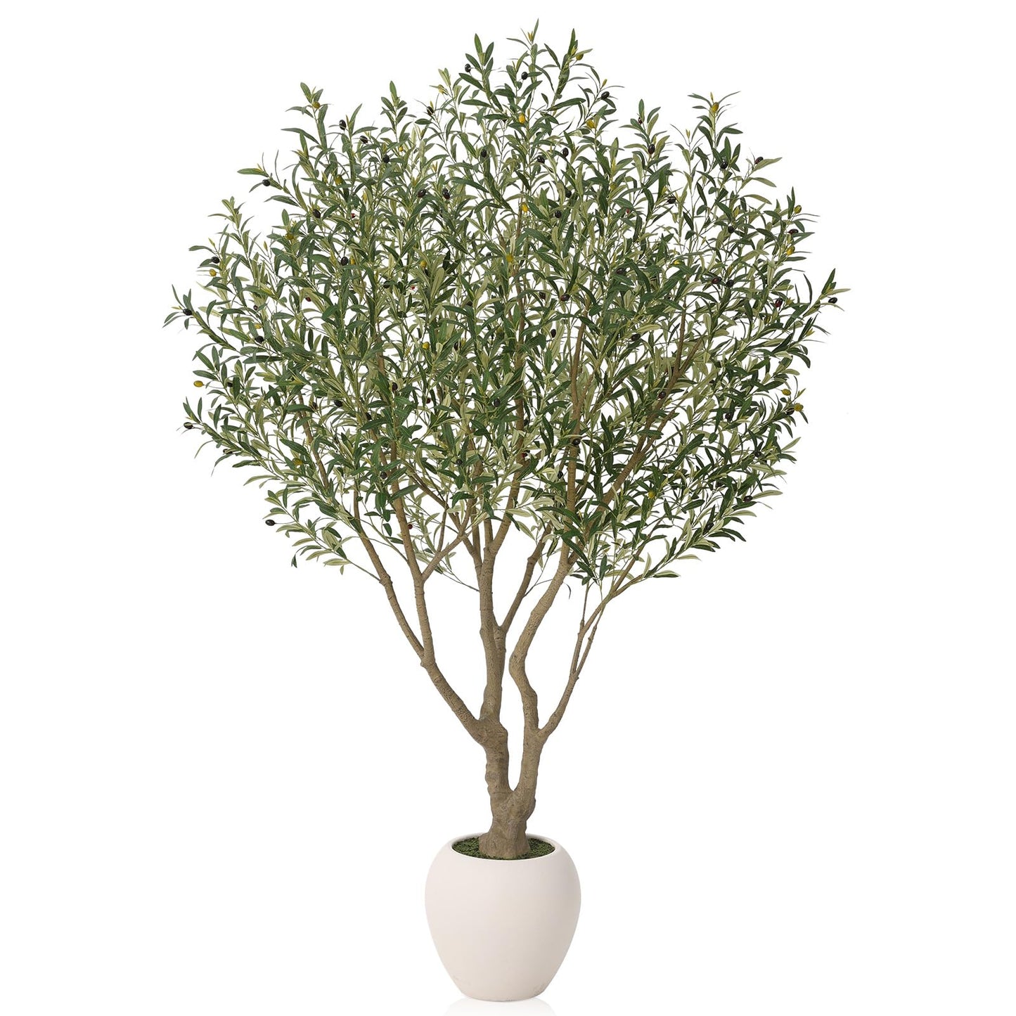 VeriNatural Olive Trees Artificial Indoor, 8FT Tall Faux Olive Tree with Round White Planter, UV Resistant Outdoor Large Fake Olive Plants for Modern Home Decor Living Room Office
