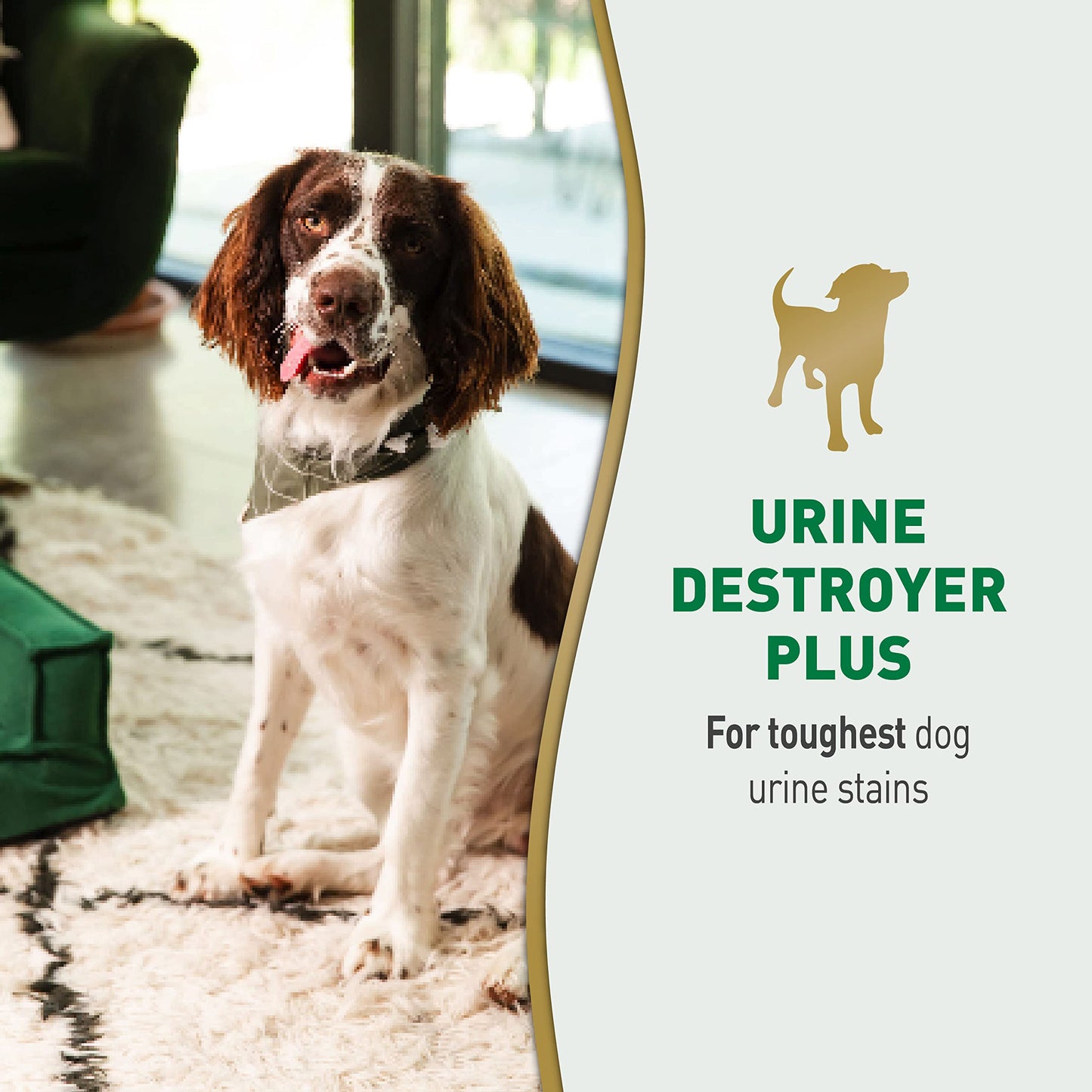 Nature’s Miracle Urine Destroyer Plus Dog, 32 Ounces, Enzymatic Formula, Ready-to-Use