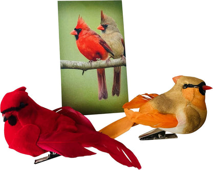 Westmon Works Cardinal Decor Set with Clip, Male and Female Love Bird Cardinals with Story Card