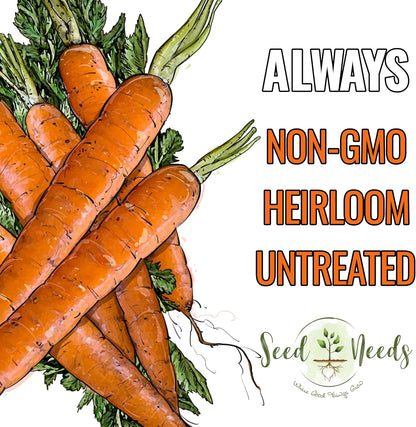 (1 Pack) Seed Needs Carrot Seeds for Planting Tendersweet Carrots - Non-GMO Heirloom & Untreated Vegetable Seed