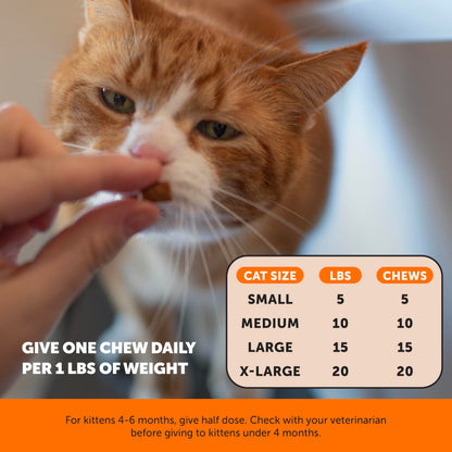 Cat Hip & Joint Health Crunchy & Creamy Chews - Cat Joint Support Supplement with Glucosamine, Health Supplies & Hip Support for Indoor & Outdoor Cats (Chicken 30-Day Supply)