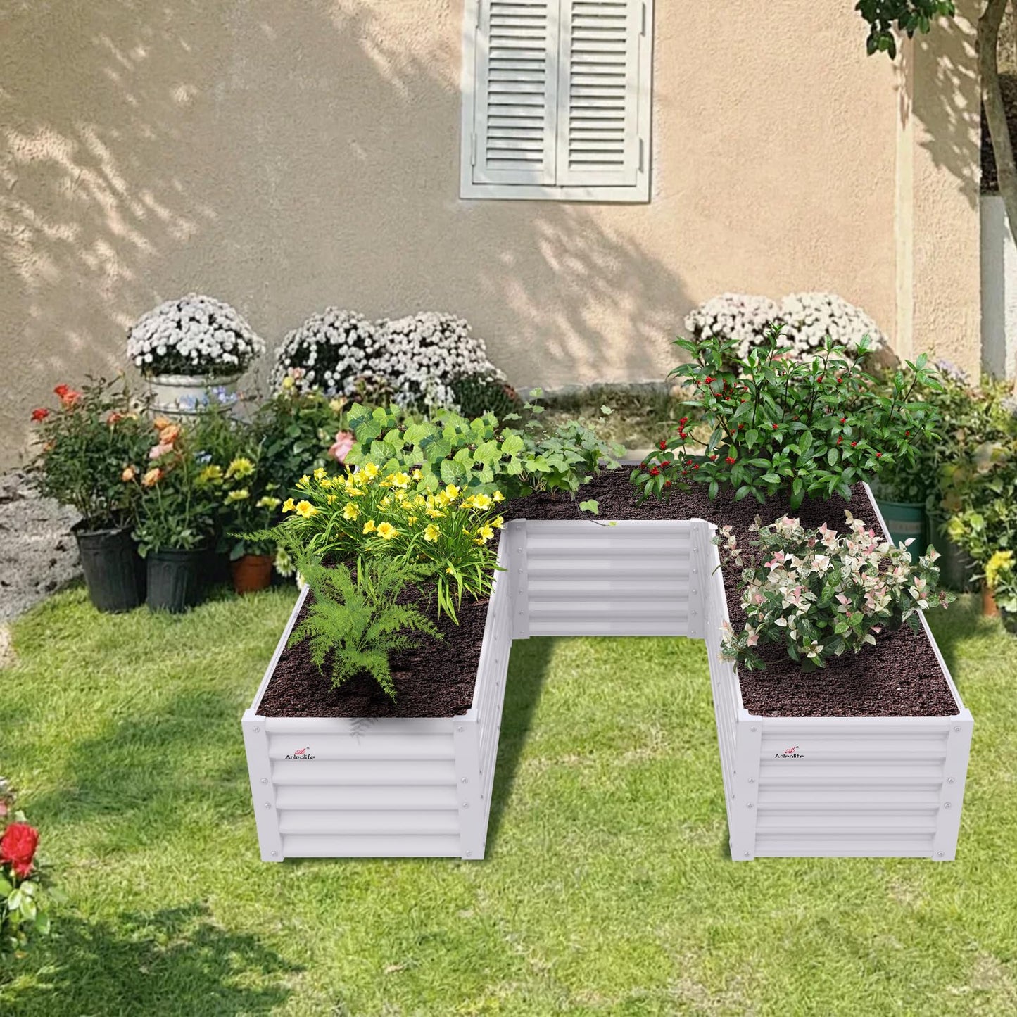 A ANLEOLIFE 6 Set U-Shaped Galvanized Raised Garden Beds Outdoor,6x6x1.5ft Large Metal Planter Box for Planting Vegetables Flowers Herb, Anti-Rust & Easy-Setup, Antique White
