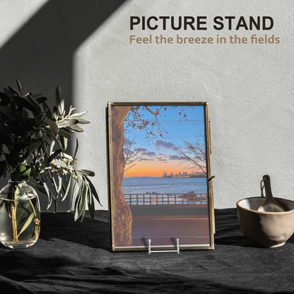 Hoewina Plate Stands for Display, Plate Holder Display Stands, Metal Frame holder stand for Book, Picture, Decorative Plate, Photo and Platter, Tabletop Art (8IN 5PCS-Silver)