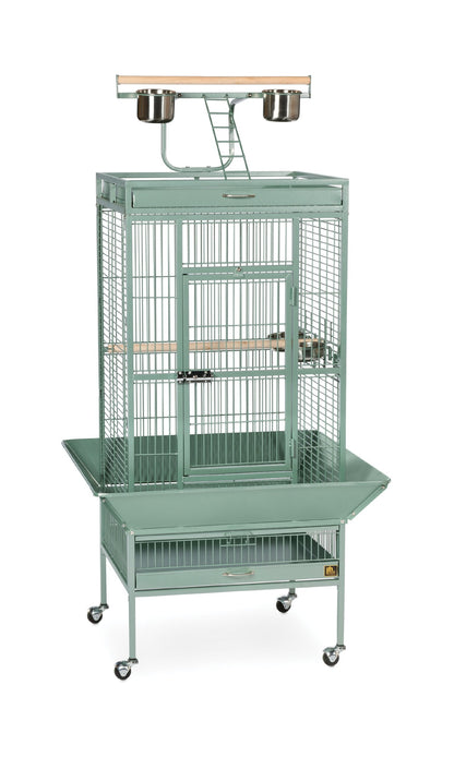 Prevue Pet Products Wrought Iron Select Bird Cage - Large Steel Cage with Rolling Stand, Seed Guards, and Playtop, Durable Design, Ideal for Conures and Medium Birds - Sage Green