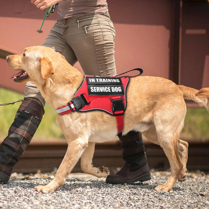 MOOGROU Service Dog Vest Harness and Leash Set+10 Patches,No Pull&Adjustable Reflective Dog Harness with Soft Padded Handle for Training/Everyday,Fit Small/Medium/Large/Extra-Large Dogs (Red S)