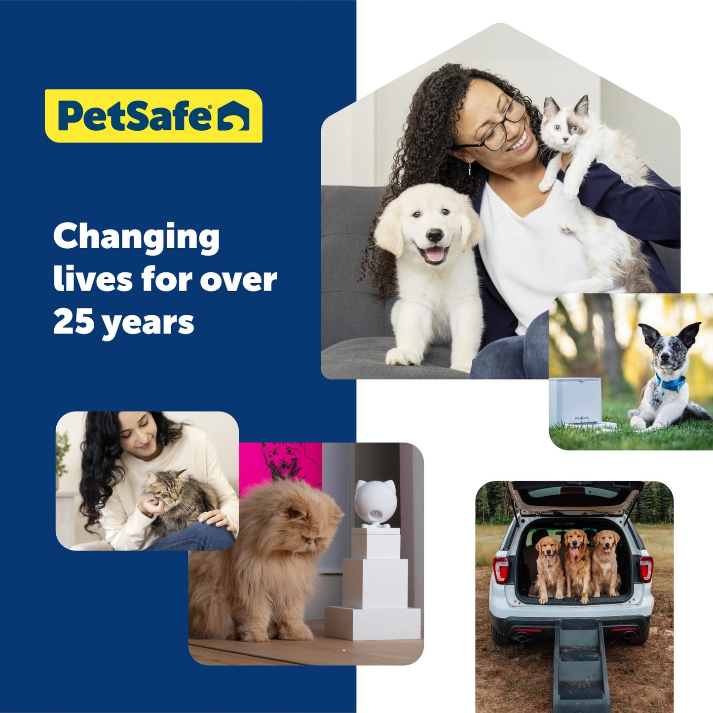 PetSafe 3/4 Replacement Collar Strap with no Holes, for PetSafe Bark, Wireless Fence, In-Ground Fence and Pawz Away Collars, Grey